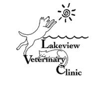 0_1498686656412_sd_lakeview_clinic.png