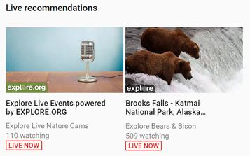 0_1539983680545_Live Recommendations.jpg