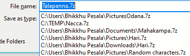 Recently Downloaded Files.png