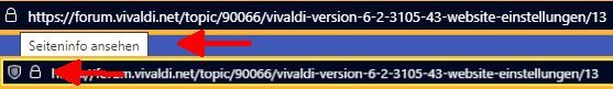 Vivaldi - Version 6.2.3105.43-Website-Einstellungen 31.08.23.jpg